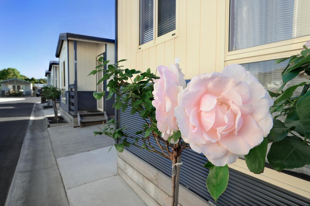 Apollo Bay Holiday Park Bagian luar foto